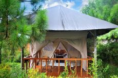 Ring In 2021 at These Scenic Glamping Locations in Bandung, Indonesia