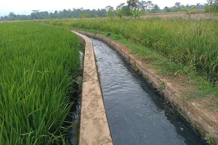 Limbah Diduga Cemari Sungai di Ciamis, Warga Harap Pembangunan IPAL, Pengusaha Minta Maaf