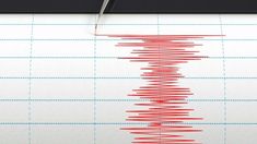 Gempa Magnitudo 5,1 di Sulawesi Utara, Terasa di Bitung dan Tondano