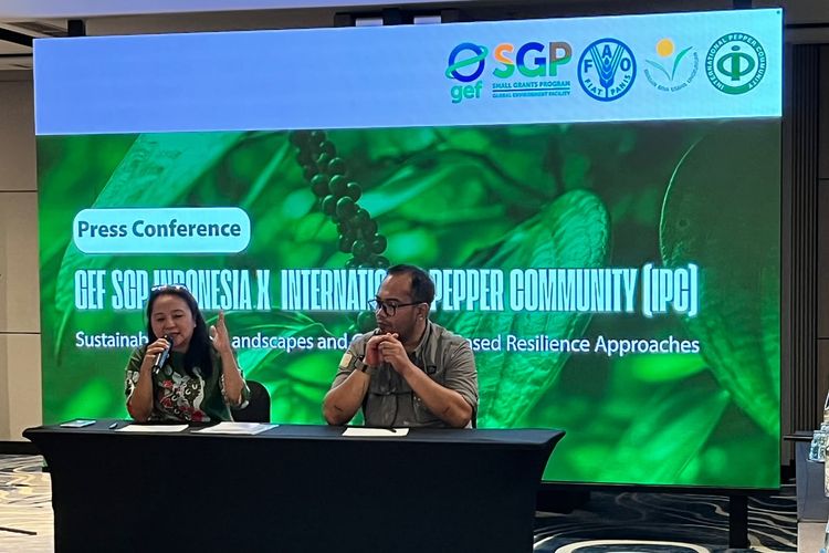 GEF SGP Indonesia dan IPC Perkuat Pengembangan Lada Berkelanjutan Menuju Pasar Global