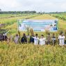 Program Ekstensifikasi Food Estate Kementan Sulap Lahan Tidur 15 Tahun Sukses Panen 