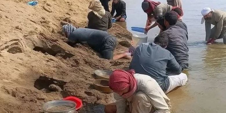 Warga di pedesaan Raqqa, Suriah, menggali tepi Sungai Eufrat, setelah air sungai tersebut menyusut dan memunculkan gundukan tanah berkilauan seperti emas.