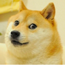 Mengenal Shiba Inu, Aset Kripto yang Diciptakan Untuk Saingi Dogecoin