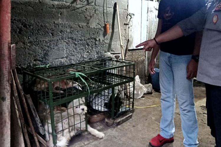 Penggerebekan tempat penjagalan anjing oleh Animal Hope Shelter didampingi personel kepolisian di Desa Sidomulyo, Kecamatan Selorejo, Kabupaten Blitar, Jumat (25/3/2022)