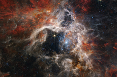 Nebula Tarantula Raksasa Tertangkap Teleskop James Webb, Seperti Apa?