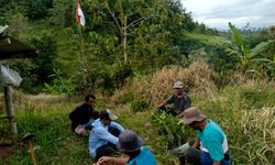 Terganjal Regulasi, Pengelolaan Hutan oleh Petani di Blitar Lambat