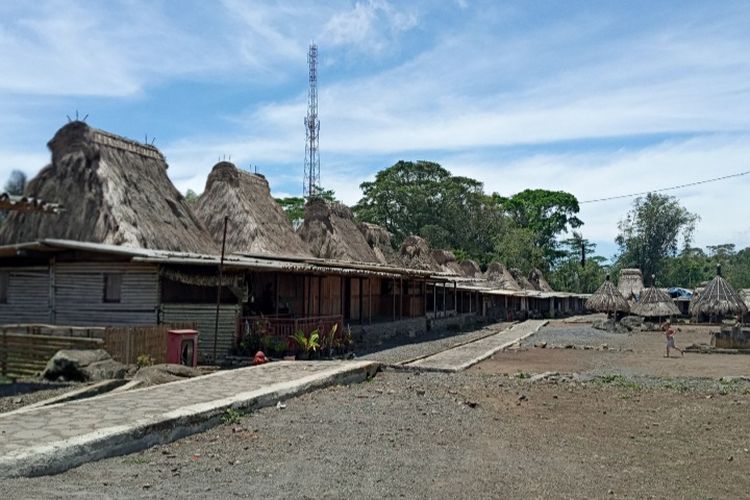 Kampung Adat Wogo di Desa Ratogesa, Kecamatan Golewa, Kabupaten Ngada, NTT.