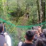 Sempat Terjerat Perangkap Babi, Seekor Macan Tutul Jawa Dilepas di Kamojang Garut