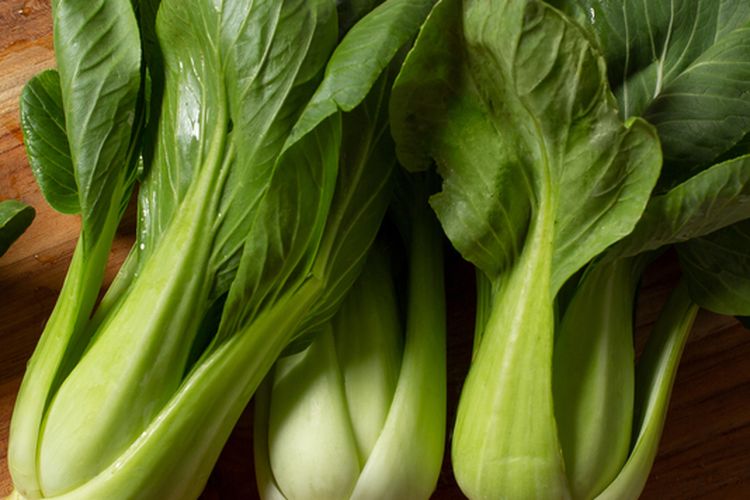 Ilustrasi pakcoy, sayuran pakcoy. 