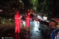 2 Pohon di Jakarta Barat Tumbang Diterpa Hujan Deras Diserta Angin