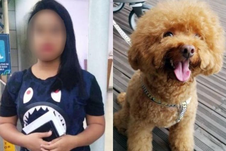 Pembantu Rumah Tangga (PRT) Indonesia yang menjadi pelaku kasus pelemparan anjing majikannya dari lantai tiga pada Mei lalu.