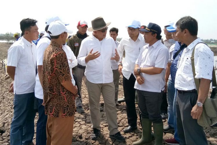 Program budidaya ikan dan udang KKP