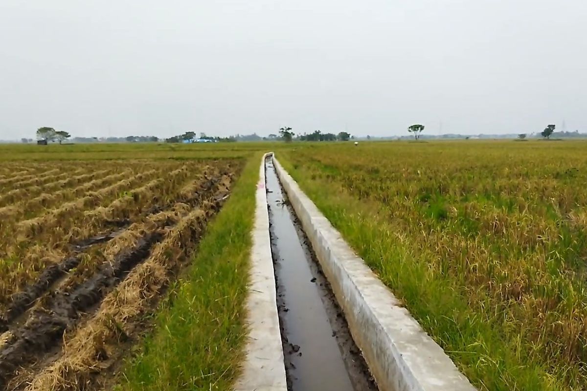 Kementerian Pertanian (Kementan) merealisasikan program Rehabilitasi Jaringan Irigasi Tersier (RJIT) di Kota Serang, Provinsi Banten, guna meningkatkan produksi padi dan meredam dampak El Nino.
 
