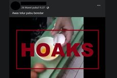 [HOAKS] Video Penemuan Telur Ayam Palsu di Subang, Jawa Barat