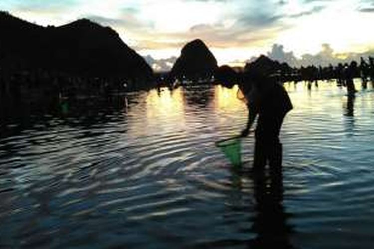 Ribuan warga banjiri Pantai Seger rayakan tradisi Bau Nyale di Pantai Seger, Pujut, Lombok Tengah, Nusa Tenggara Barat, Minggu (28/2/2016). 