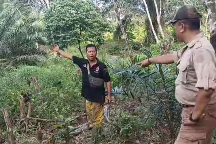 Petugas TNKS WIlayah V melakukan pengecekan di kebun warga di Musi Rawas yang didatangi oleh seekor beruang madu.