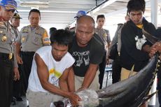 Bawa Ratusan Ikan Tuna, Dua Kapal Pelaku 