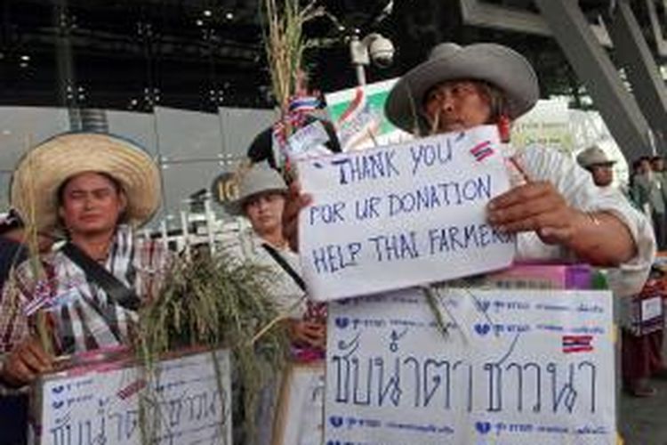 Sambil membawa padi dan poster, para petani Thailand berunjuk rasa di Bandara Suvarnabumi di Bangkok, Minggu (16/2/2014). Mereka memprotes pemerintah yang berkali-kali menunda pembayaran subsidi beras.
