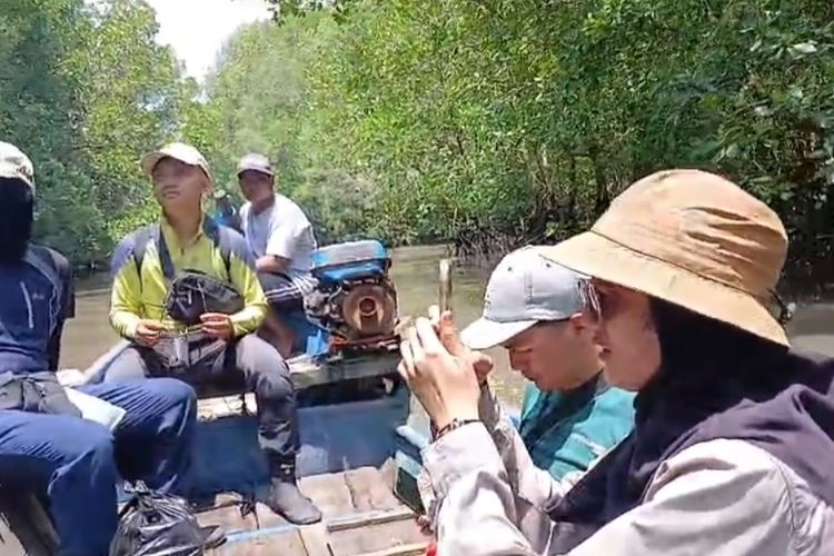 Menyusuri Lorong Mangrove Alami, Melihat Banyuwangi dari Sisi Berbeda