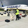 Buntut Penurunan Paksa Ryanair, Lituania Larang Pesawat Lintasi Belarus