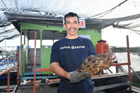 Nelayan Binaan Pupuk Kaltim Penuhi Kebutuhan Ekspor 1 Ton Kerapu