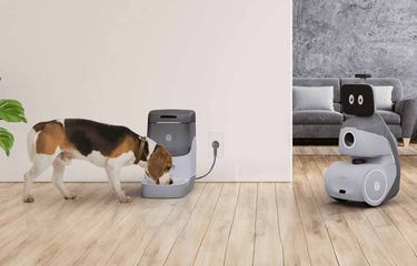 Robot Ini Bisa Urus dan Ajak Main Anjing Peliharaan Saat Ditinggal ...