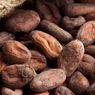 Perjalanan Panjang Cokelat dari Biji hingga Layak Dimakan