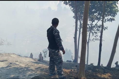 Lebih dari Sebulan Api Membakar Ratusan Hektare Kebun di Pulau Enggano