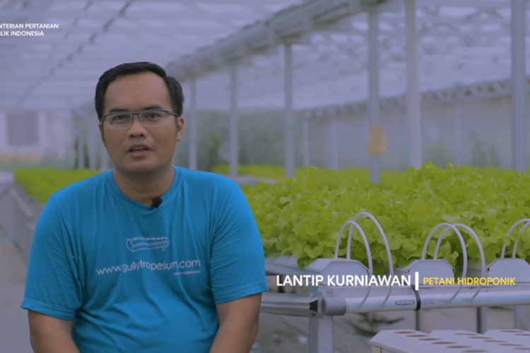 Lantip Kurniawan, petani hidroponik asal Sleman, Yogyakarta yang berhasil mengatasi tantangan dan memasarkan produknya.