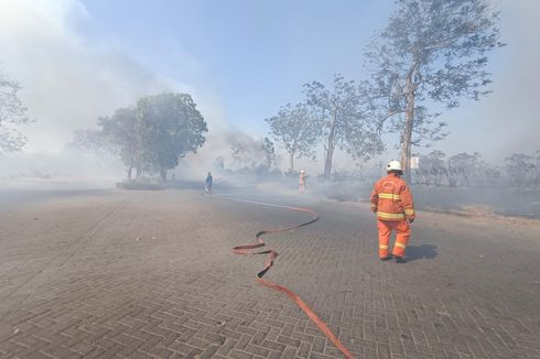 Lahan Alang-alang Seluas 4,5 Hektar di Surabaya Terbakar, Arus Lalu Lintas Terganggu