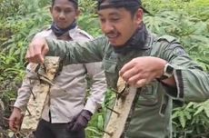 Prabowo Resmikan 215.572 Smartboard untuk Pembelajaran Digital Sekolah di Indonesia