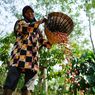 Petani Kopi Sumedang Dapat Bantuan Mesin Produksi dan Pelatihan