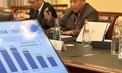 Dorong Akses Energi Terjangkau, Indonesia Paparkan Strategi di Forum UN ESCAP