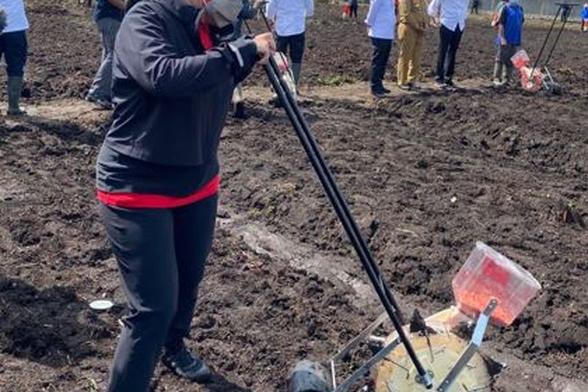 Ketua DPR RI Puan Maharani menanam jagung dalam kunjungan kerja bersama Presiden Joko Widodo (Jokowi) di Kawasan Jalan Rajawali, Kelurahan Klamesen, Distrik Mariat, Kabupaten Sorong, Senin (4/10/2021).