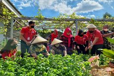 Bangun Rumah Bibit hingga Barter Sampah, Berikut Aksi Alfamart Sambut Hari Lingkungan Hidup Sedunia