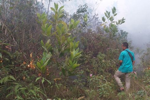 Lahan Milik UIN Suska Riau Terbakar, Api Mengarah ke Asrama Putri