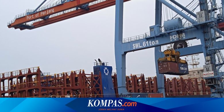 Lampung Bakal Ekspor 6.300 Ton Nanas ke Singapura Tiap Pekan - Vimarsana News