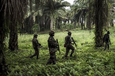 Lusinan Petani Kongo Dibunuh pada Malam Tahun Baru, Sebagian Dipenggal