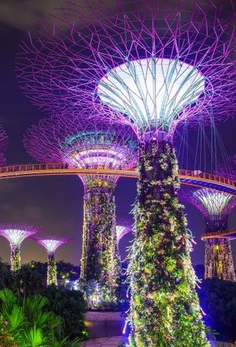 Liburan-ke-Gardens-by-the-Bay-Singapura-Saat-New-Normal,-Ini-Ketentuannya-
