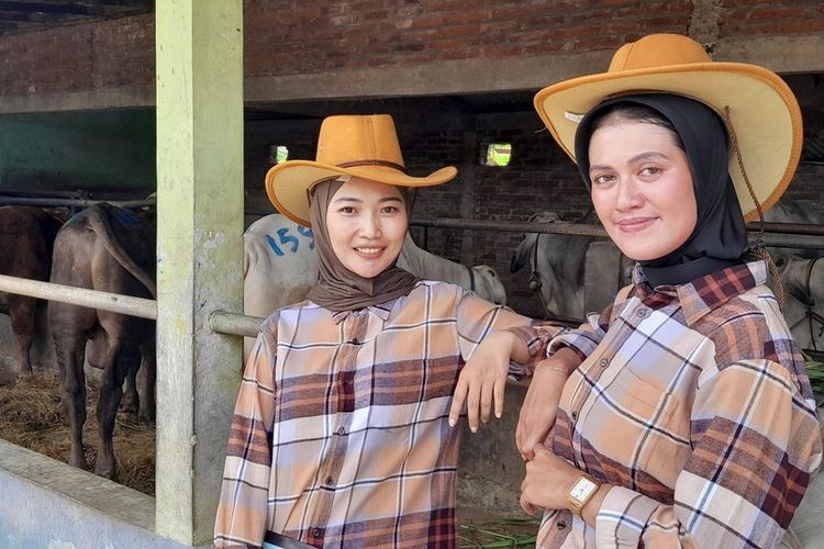 Strategi Penjual Sapi Kurban Kulon Progo: Gandeng 