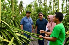 Saat Bersama YDBA, UMKM Naik Kelas dan Tembus Kemandirian...