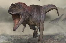 Dinosaurus Predator Baru Ditemukan, Punya Lengan Kecil Seperti T-rex