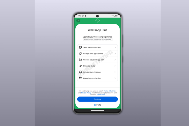 Paket langganan berbayar WhatsApp Plus menawarkan sejumlah fitur premium, seperti stiker eksklusif, tema, ikon aplikasi, dan pin chat tambahan.