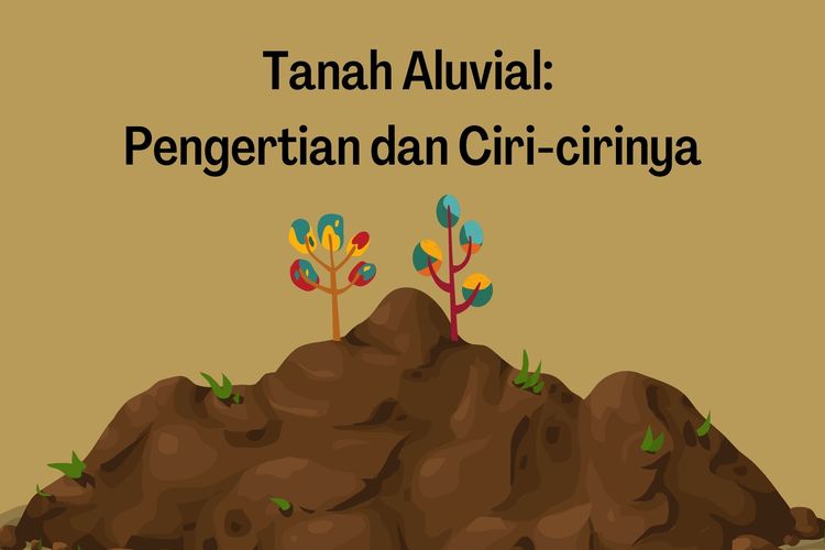 Ilustrasi tanah aluvial, pengertian tanah aluvial, ciri-ciri tanah aluvial