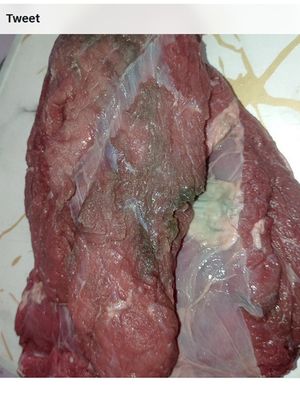 Ramai soal daging yang berubah warna kehijauan diduga setelah dimasukkan dalam chiller.