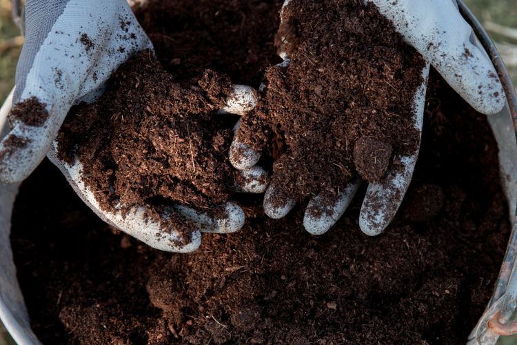 Ilustrasi pupuk organik
