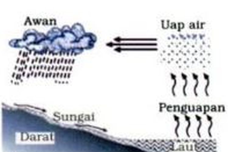 Siklus air sedang