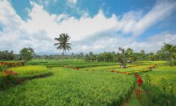 Kenalkan Destinasi “Hidden Gem” di Kawasan Ijen, Bupati Banyuwangi Luncurkan Ijen Golden Route