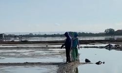 Kisah Petani Tambak Bisa Produksi Garam, Rumput Laut, Air Minum, dan Listrik Sekaligus