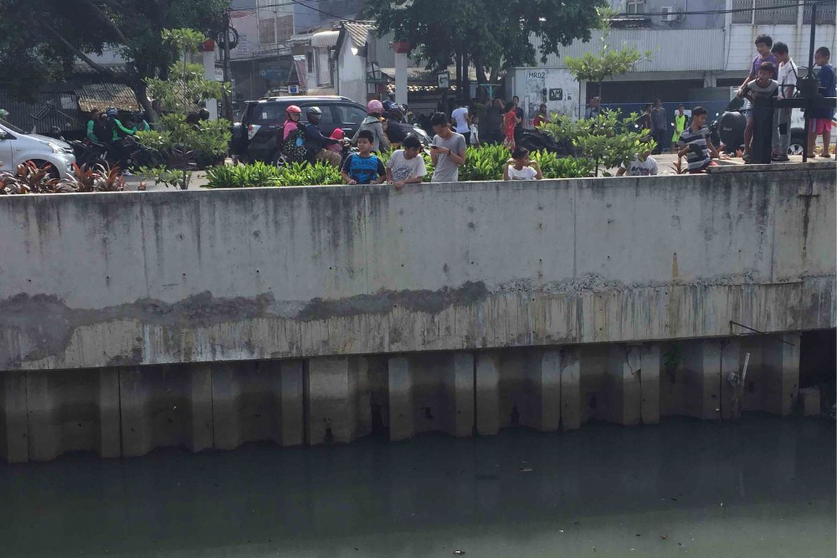 Sejumlah petugas dari Suku Dinas Penanggulangan Kebakaran dan Penyelamatan Jakarta Barat  menyisir Kali Grogol yang berada di Jalan Jelambar, Jakarta Barat. Hal itu dilakukan menyusul informasi dari masyarakat bahwa ada sejumlah buaya yang terlihat di kali tersebut, Rabu (27/6/2018).